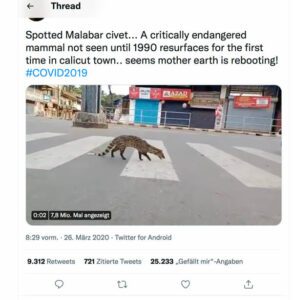 Ein Screenshot eines Tweets. Ein katzenartiges Tier mit geflecktem Fell und langem, gestreiften Schwanz läuft mitten in einer Stadt über einen Zebrastreifen. Der Tweet wurde mit dem Hashtag #COVID2019 versehen.