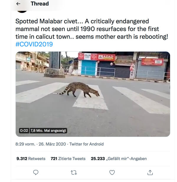Ein Screenshot eines Tweets. Ein katzenartiges Tier mit geflecktem Fell und langem, gestreiften Schwanz läuft mitten in einer Stadt über einen Zebrastreifen. Der Tweet wurde mit dem Hashtag #COVID2019 versehen.