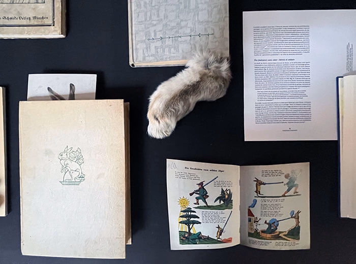 Collage aus liegenden Büchern. Unterschiedlich dick und groß, in der Mitte liegt eine Hasenpfote aus Fell.