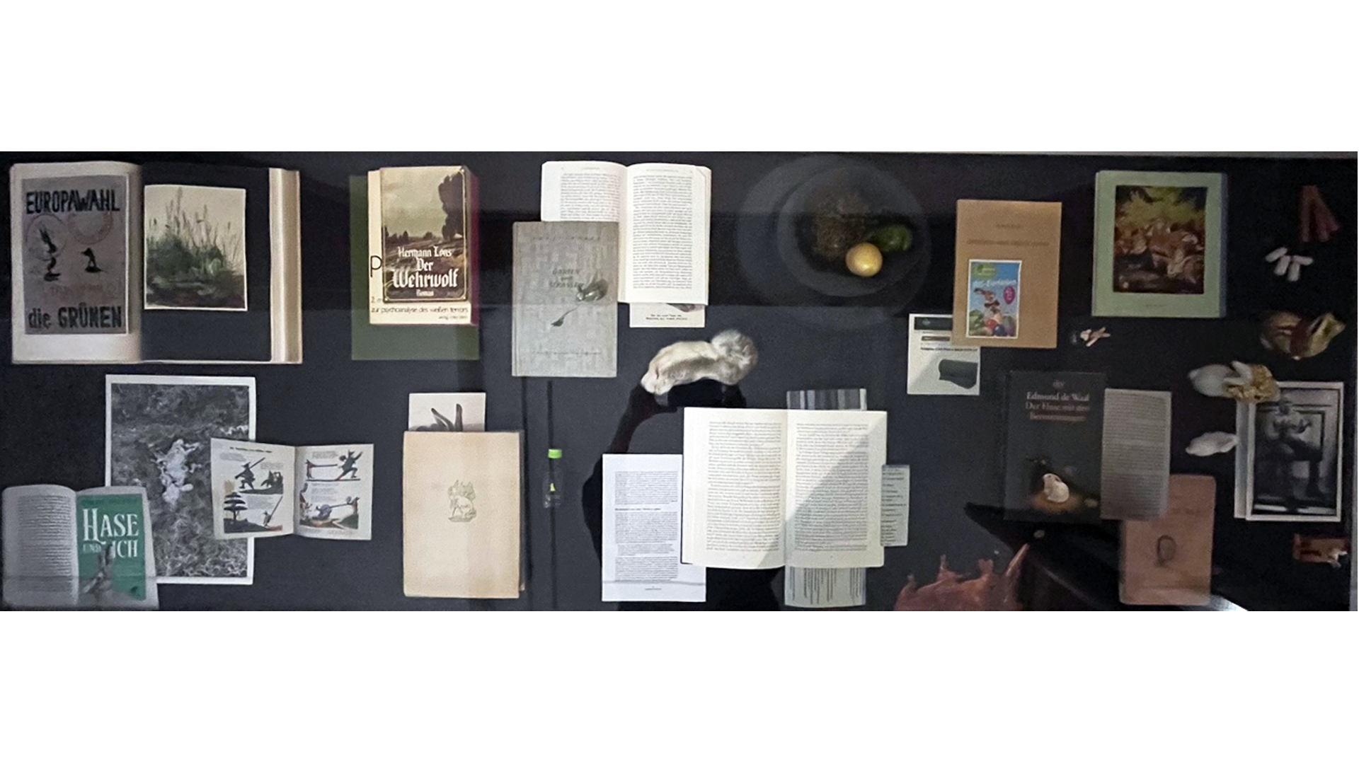 Das Bücherbeet. Künstlerisch-kuratorische Essays zu Kunst und Ökologie