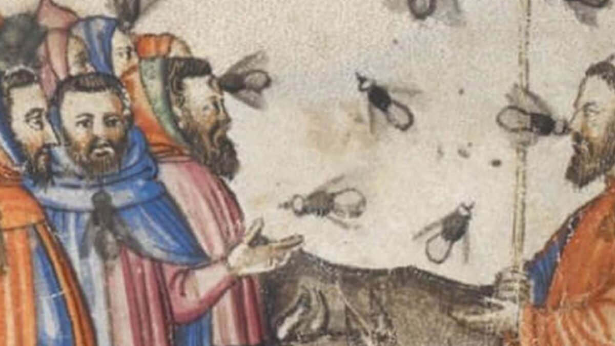 Simone Westermann über eine aufmüpfige Fliege. Ein Bildwitz um 1400?