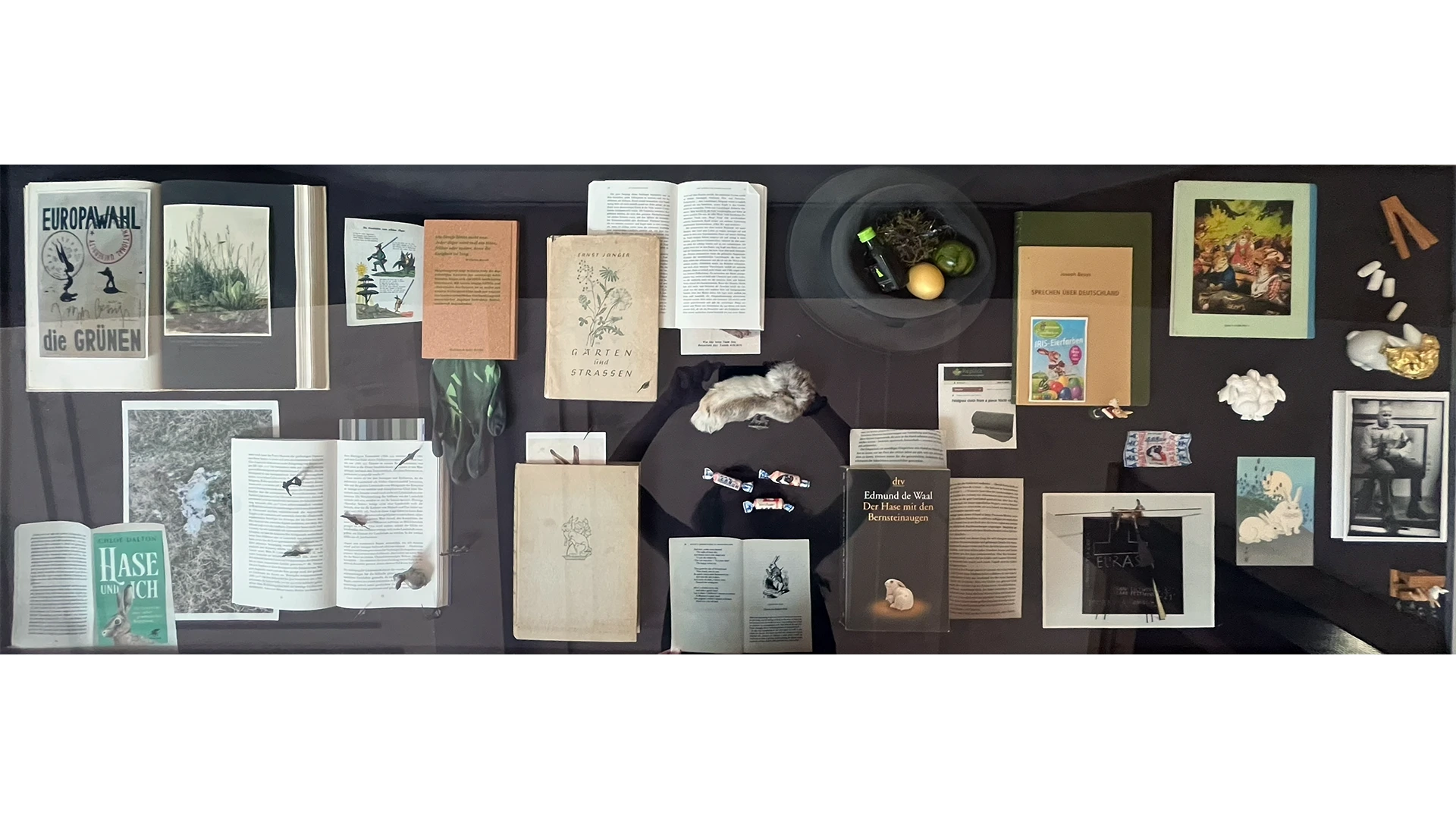 Vitrine mit aufgeschlagenen und geschlossenen Büchern, Pflanzenabbildungen, kleinen Objekten und Texten auf schwarzem Untergrund.