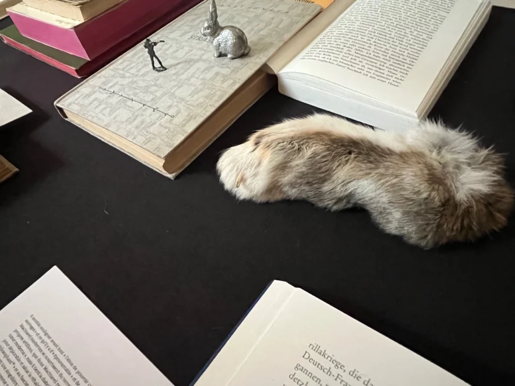 Fellstück/Hasenpfote liegt auf einem schwarzen Tisch zwischen mehreren geöffneten und geschlossenen Büchern sowie einer kleinen Figur eines Jägers