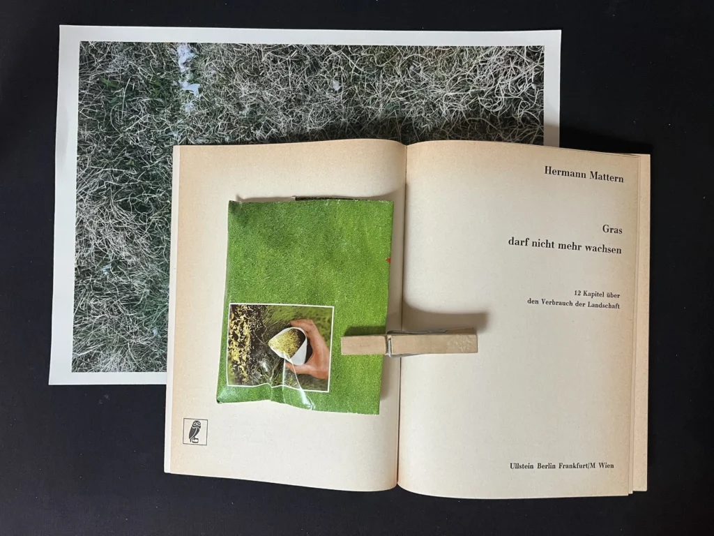 Aufgeschlagenes Buch mit grünem Grasbild auf der linken Seite und Text auf der rechten Seite, daneben ein Foto von trockenem Gras